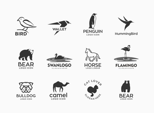 Animal logo collections, bird, wallet, penguin, hummingbird, bear, swan, horse, flamingo, bulldog, camel, cat, etc.
