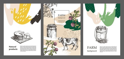 Sample cover for agricultural brochure. Milk can, cow and meadow flowers.