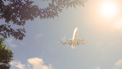 The plane over the city houses. Sunset in the evening.