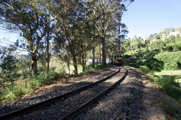 Obraz premium Railway in the forest , Hill train 