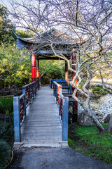 Naklejka premium Chinese Garden