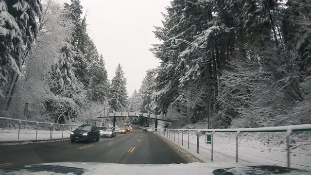 Driving Through A Forest Highway On A Snow Day 