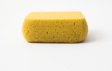 sponge isolated on white background