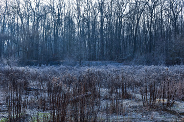 winter landscape with river and trees in winter