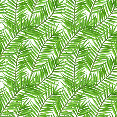 Watercolor tropical palm leaves seamless pattern.   Hand Drawn seamless tropical floral pattern.
