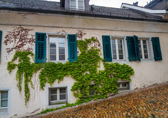 Fototapeta na wymiar House wall covered in ivy with windows with open shutters on cobbled street descending on hillside