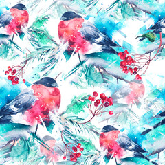 Seamless watercolor pattern with a picture of a bird, bullfinch. A bird on a spruce branch,branch with berry viburnum, mountain ash.The bird is red. Bullfinch in the forest on a branch of spruce,cedar