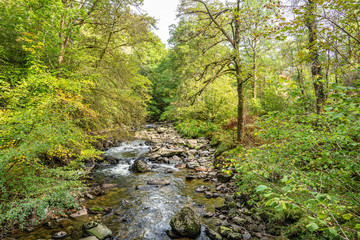 Fototapeta na wymiar Kinglas Water, Ardkinglas, Cairndow, Argyll & Bute, Scotland