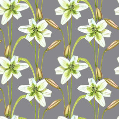 Watercolor white lilies. Seamless patterns. Wild flower set isolated on white. Botanical watercolor illustration, white lilies bouquet, rustic lilies flowers.