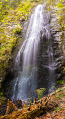 Fototapeta na wymiar Waterfall in Ukrainian Carpathians