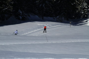 Fototapeta na wymiar balade à ski nordique