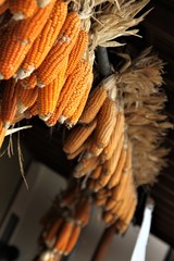 軒先に干されたトウモロコシ