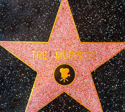 The Muppets Star On Hollywood Walk Of Fame