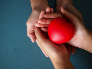 The couple's family hands hold a red heart. Healthcare insurance concept.