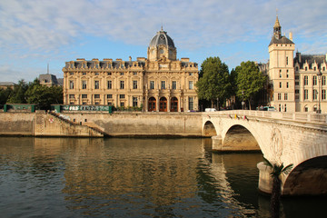 buildings, bridge and river seine in paris (france)