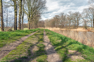 Landscape with two wheel tracks on the country road