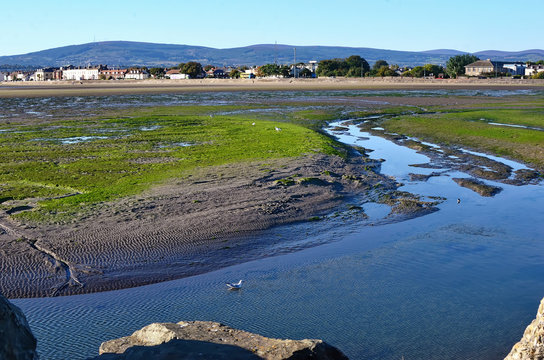 Dublin Bay In Sandymount Irishtown Nature Park