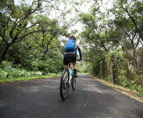 Woman cyclist riding mountain bike on tropical rainforest trail