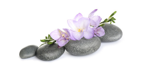 Fototapeta na wymiar Spa stones and freesia flowers on white background