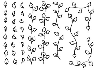 Set of hand-drawn leaves and vines for the design