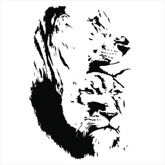 Hand drawn lion head. Vector isolated on a transparent background