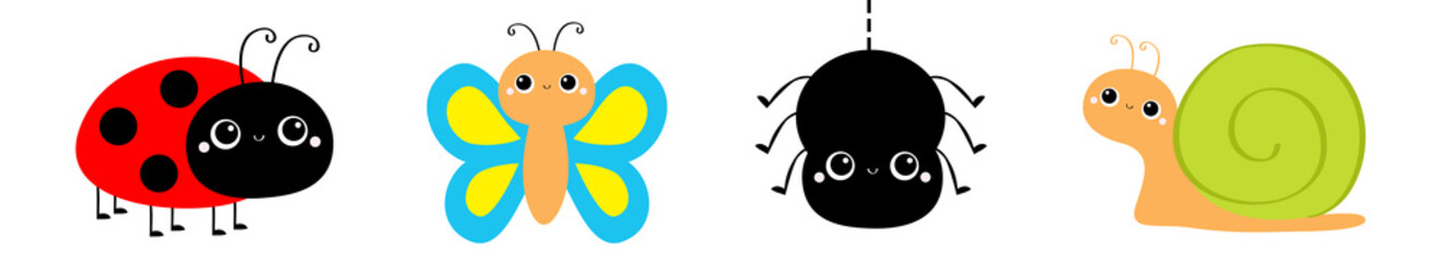 Insect set line. Butterfly, ladybug ladybird, spider, lady bug, snail. Cute cartoon kawaii baby animal character. Flat design. White background. Isolated.