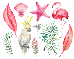 Fototapeta premium Watercolor tropical objects set. Clip art with palm leaves, parrot, flamingo, shell and sea star. Design elements isolated on white background