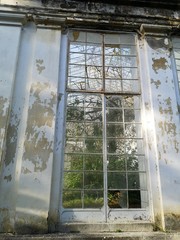 Old window of a ruined greenhouse building in a botanical garden