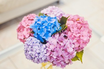 Pink and purple hydrangea bouquet top view on white backround