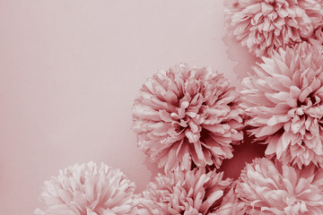 Beautiful abstract color brown and red flowers on white background and light brown flower frame and red leaves texture, yellow background, white banner happy valentine