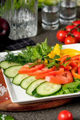 Assorted fresh vegetables - cucumber, tomato, pepper and herbs in white bowl plate. Set of vegetables snacks for alcohol vodka. Close up, selective focus.