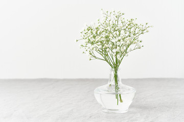 Gypsophila flowers in glass vase. Soft light, Scandinavian minimalism,