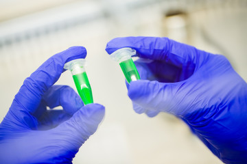 Close up of scientist looking at plants in test tube in laboratory, Concept science and technology, Science background