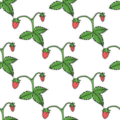 Wild strawberry on white background. Seamless background. Endless pattern. Vector image. Healthy food and diet.