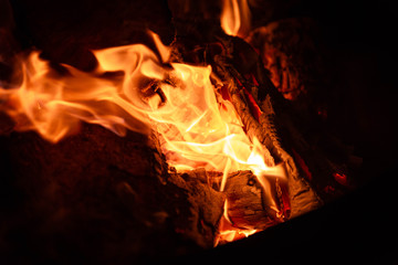 Fototapeta premium fire in the fireplace