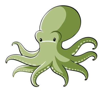 Green octopus on white background