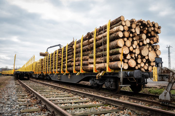 Holztransport durch die Eisenbahn