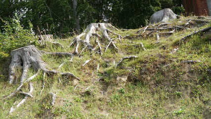 Natur in den St&auml;dten