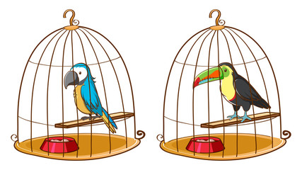 Two birds in bird cages