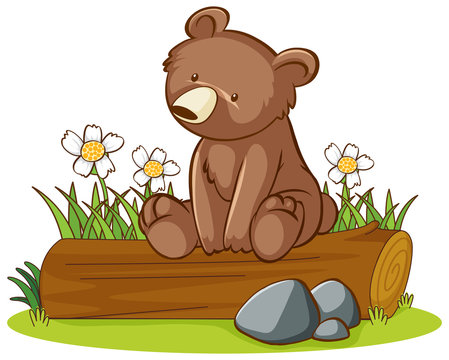 Isolated picture of cute bear