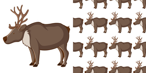 Seamless background design with cute reindeer