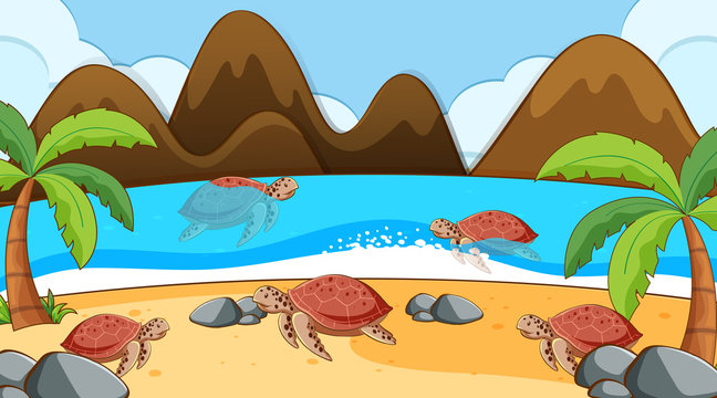 Scene with sea turtles swimming in the sea