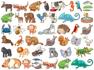 Stickers muraux Zoo Grand ensemble d& 39 animaux sauvages avec de nombreux types d& 39 animaux terrestres et marins