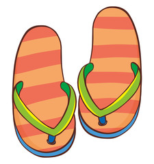 Pair of sandals on white background