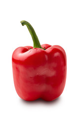 Red pepper. Sweet pepper. One bell pepper isolated on a white background.