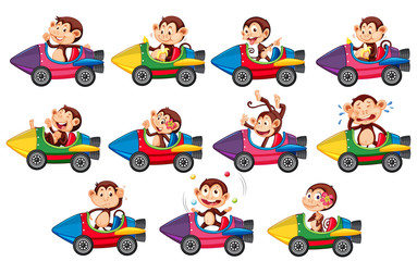 Obraz na płótnie Canvas Set of happy monkeys riding on rocket car
