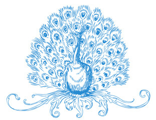 Peacock with ornament