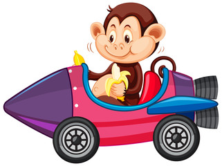 Monkey riding on toy rocket cart