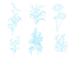 Lily of the valley, Forget me not, sweat peas, lilac, violet - spring flowers set