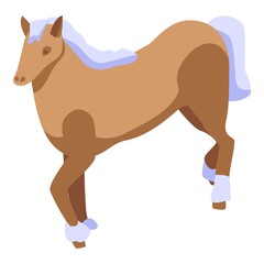 Ride horse icon. Isometric of ride horse vector icon for web design isolated on white background